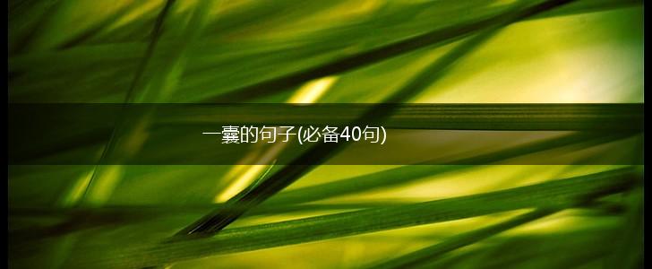 一囊的句子(必备40句),第1张