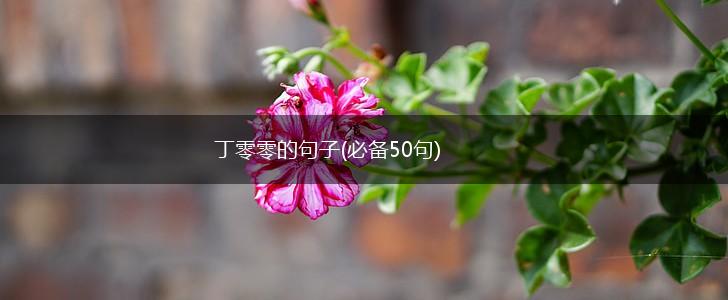丁零零的句子(必备50句),第1张