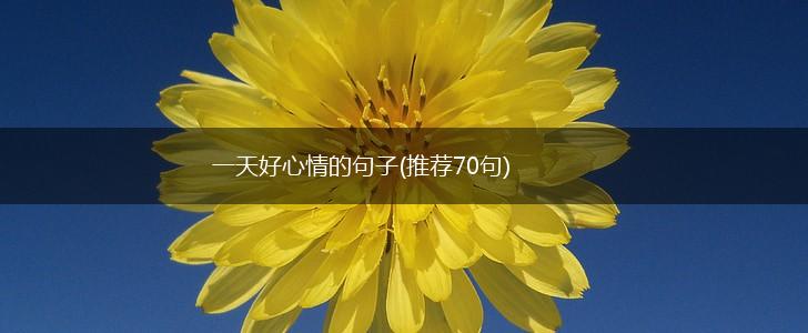 一天好心情的句子(推荐70句),第1张 一天好心情的句子(推荐70句),第1张