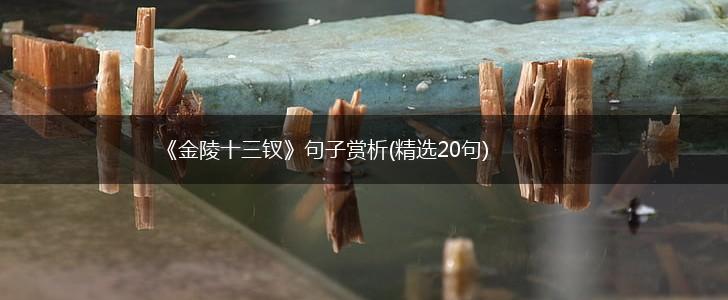 《金陵十三钗》句子赏析(精选20句),第1张