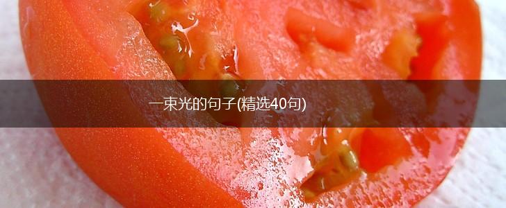 一束光的句子(精选40句),第1张