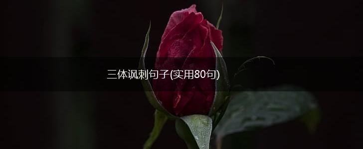 三体讽刺句子(实用80句),第1张