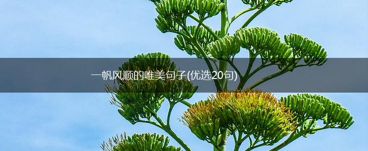 一帆风顺的唯美句子(优选20句),第1张