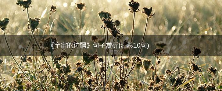 《宇宙的边疆》句子赏析(汇总10句),第1张