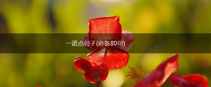 一诺点句子(必备80句),第1张