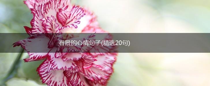 看景的心情句子(精选20句),第1张