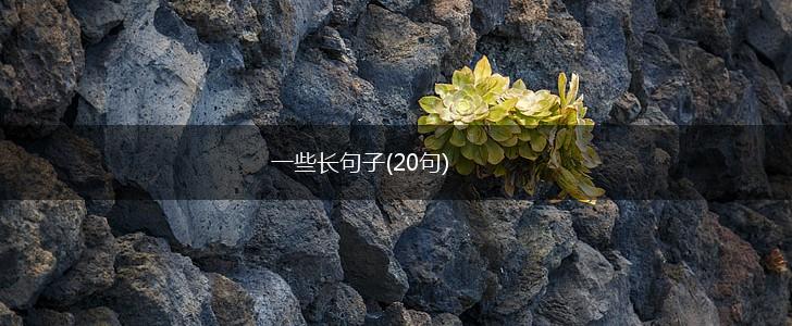 一些长句子(20句),第1张