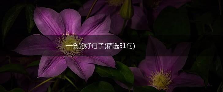 一会的好句子(精选51句),第1张