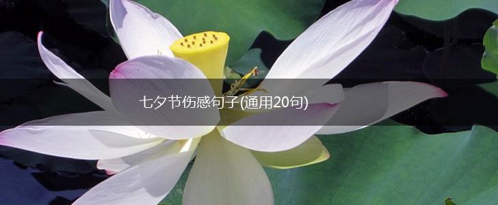 七夕节伤感句子(通用20句),第1张