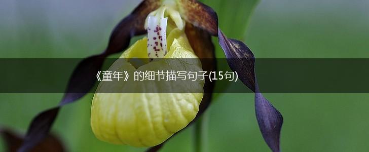《童年》的细节描写句子(15句),第1张