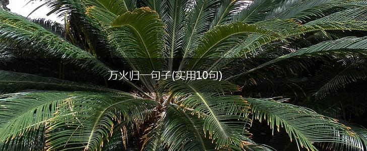 万火归一句子(实用10句),第1张