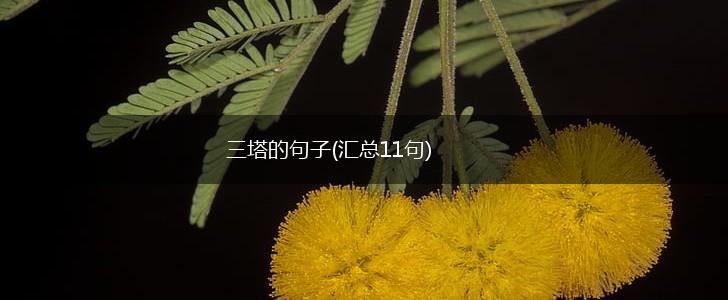 三塔的句子(汇总11句),第1张