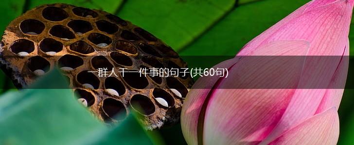 一群人干一件事的句子(共60句),第1张
