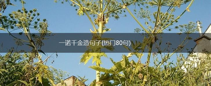 一诺千金造句子(热门80句),第1张