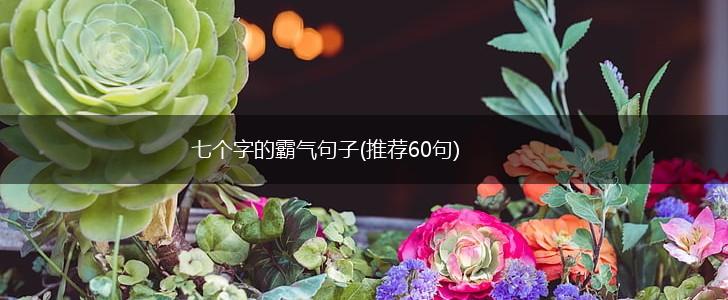 七个字的霸气句子(推荐60句),第1张