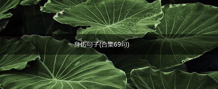 一身伤句子(合集69句),第1张