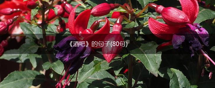 《酒吧》的句子(80句),第1张