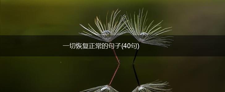 一切恢复正常的句子(40句),第1张