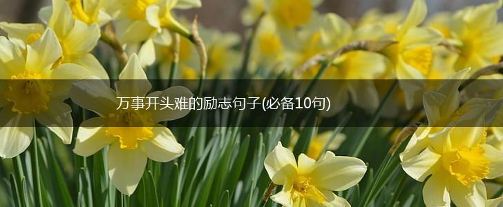 万事开头难的励志句子(必备10句),第1张