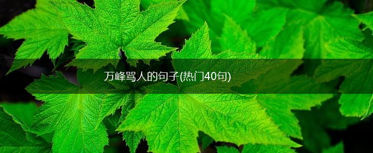 万峰骂人的句子(热门40句),第1张