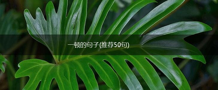 一顿的句子(推荐50句),第1张