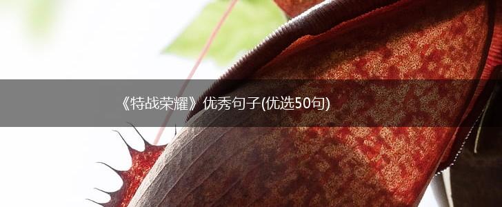 《特战荣耀》优秀句子(优选50句),第1张