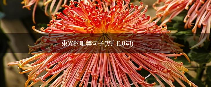 一束光的唯美句子(热门10句),第1张
