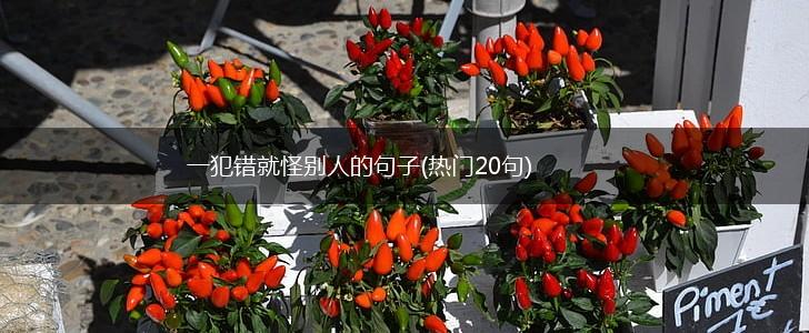 一犯错就怪别人的句子(热门20句),第1张