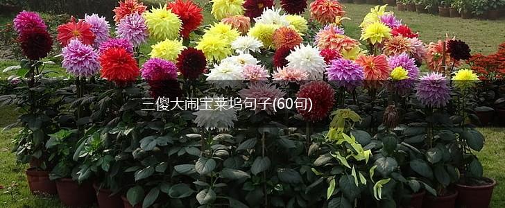 三傻大闹宝莱坞句子(60句),第1张