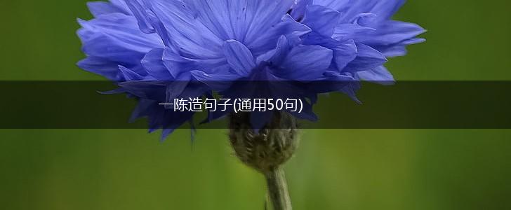 一陈造句子(通用50句),第1张