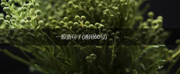 一股造句子(通用60句),第1张