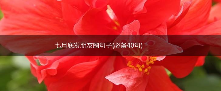 七月底发朋友圈句子(必备40句)