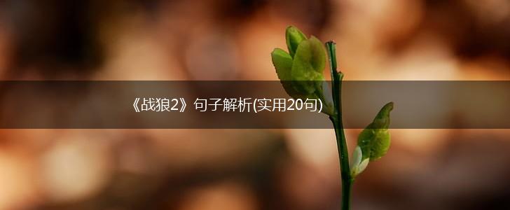 《战狼2》句子解析(实用20句),第1张