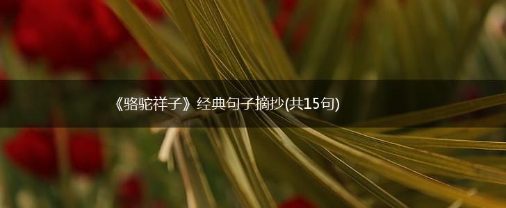 《骆驼祥子》经典句子摘抄(共15句),第1张