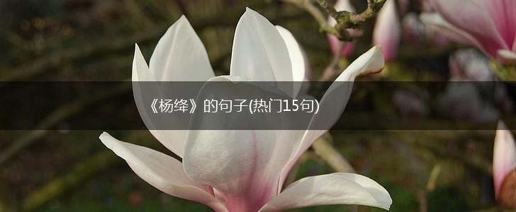 《杨绛》的句子(热门15句),第1张