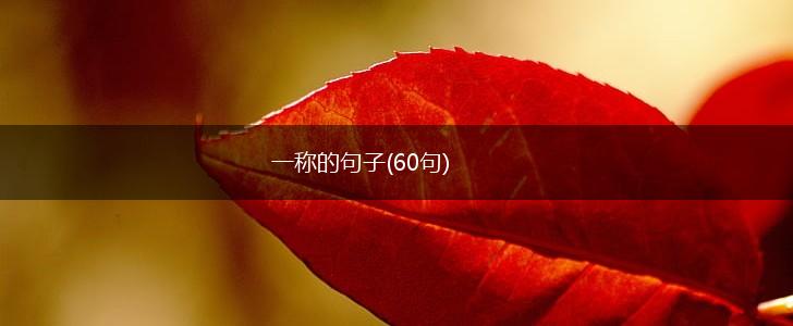 一称的句子(60句),第1张