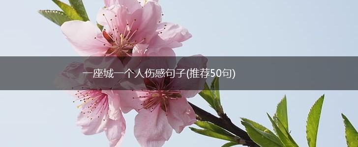 一座城一个人伤感句子(推荐50句),第1张