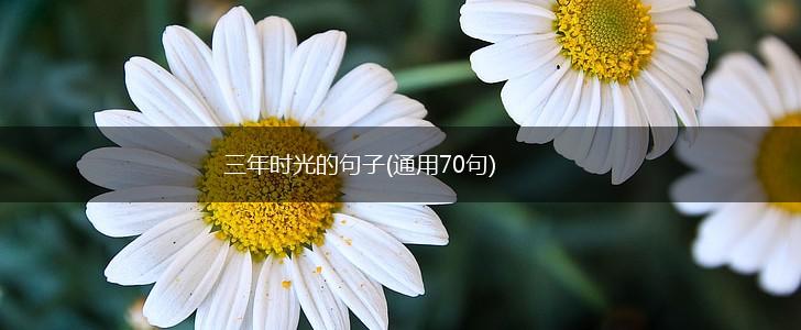 三年时光的句子(通用70句),第1张