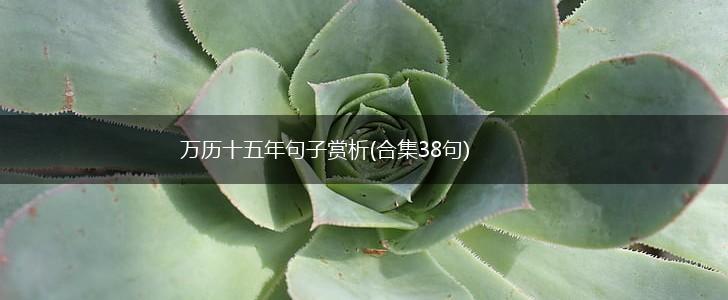 万历十五年句子赏析(合集38句),第1张