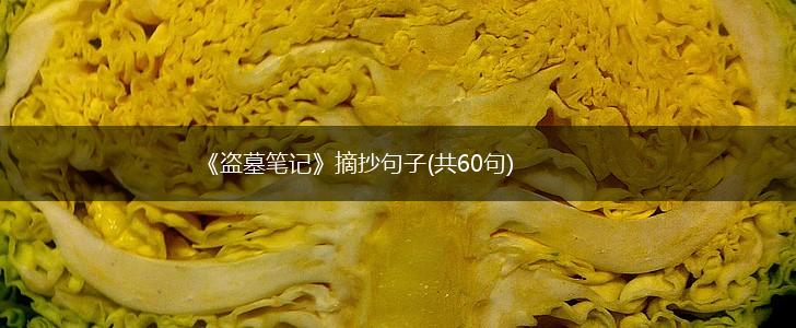 《盗墓笔记》摘抄句子(共60句),第1张