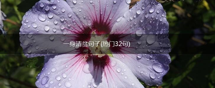 一身清贫句子(热门32句),第1张