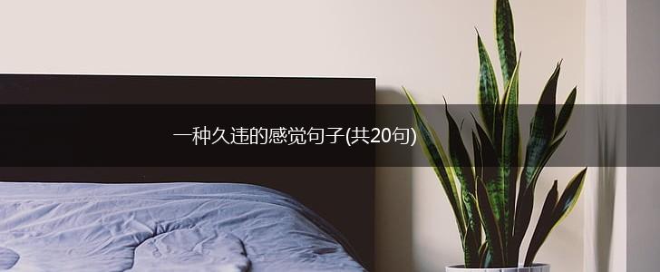 一种久违的感觉句子(共20句),第1张
