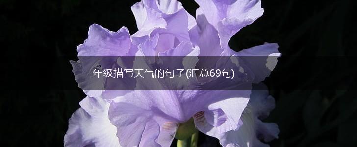 一年级描写天气的句子(汇总69句),第1张