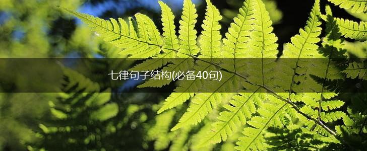 七律句子结构(必备40句),第1张