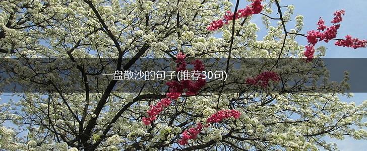 一盘散沙的句子(推荐30句),第1张