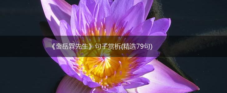 《金岳霖先生》句子赏析(精选79句),第1张