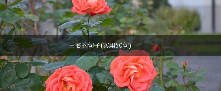 三爷的句子(实用50句),第1张
