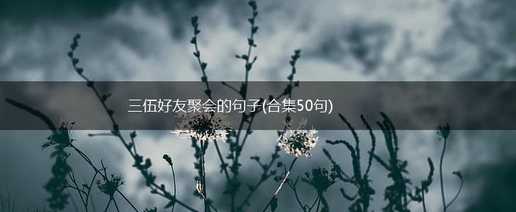 三伍好友聚会的句子(合集50句),第1张