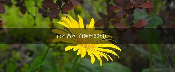 三官不合句子(通用60句),第1张