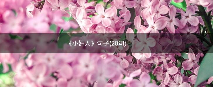 《小妇人》句子(20句),第1张